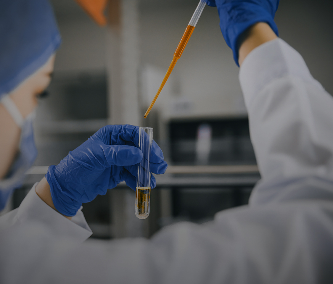 日韩十八禁在线1区2区3区不卡