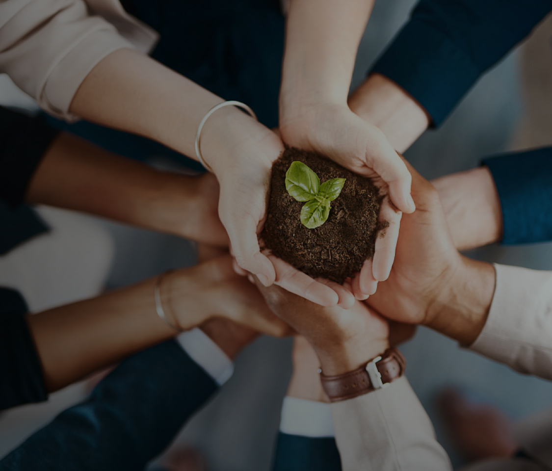 日韩十八禁在线1区2区3区不卡