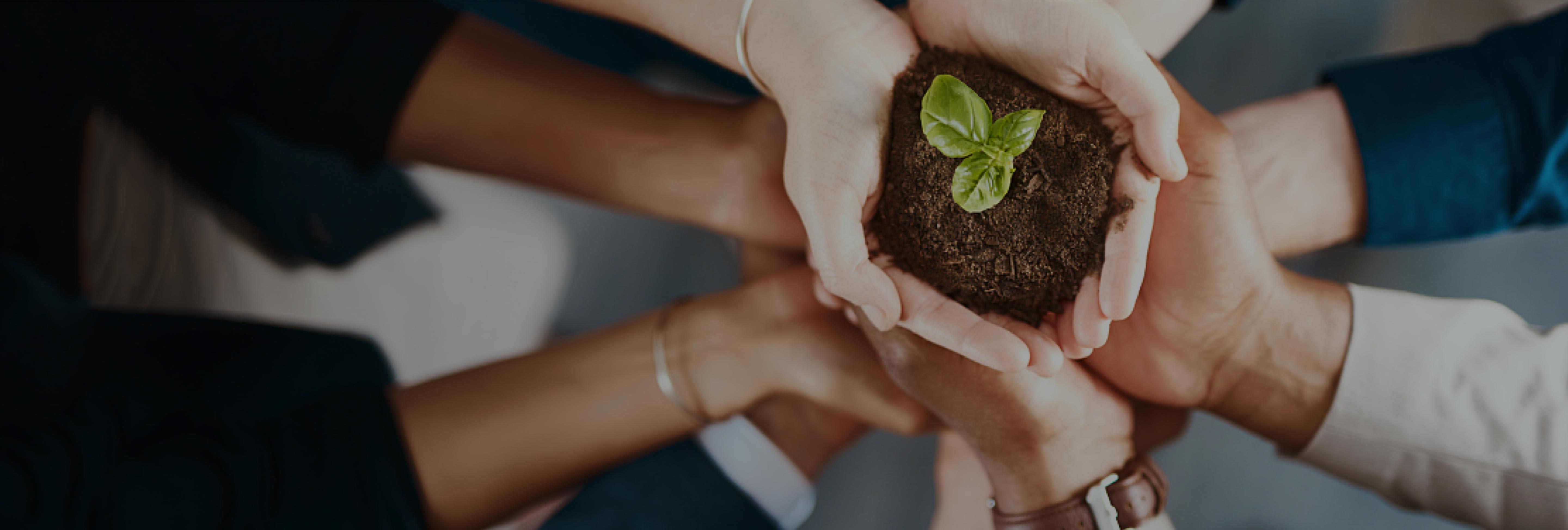 日韩十八禁在线1区2区3区不卡