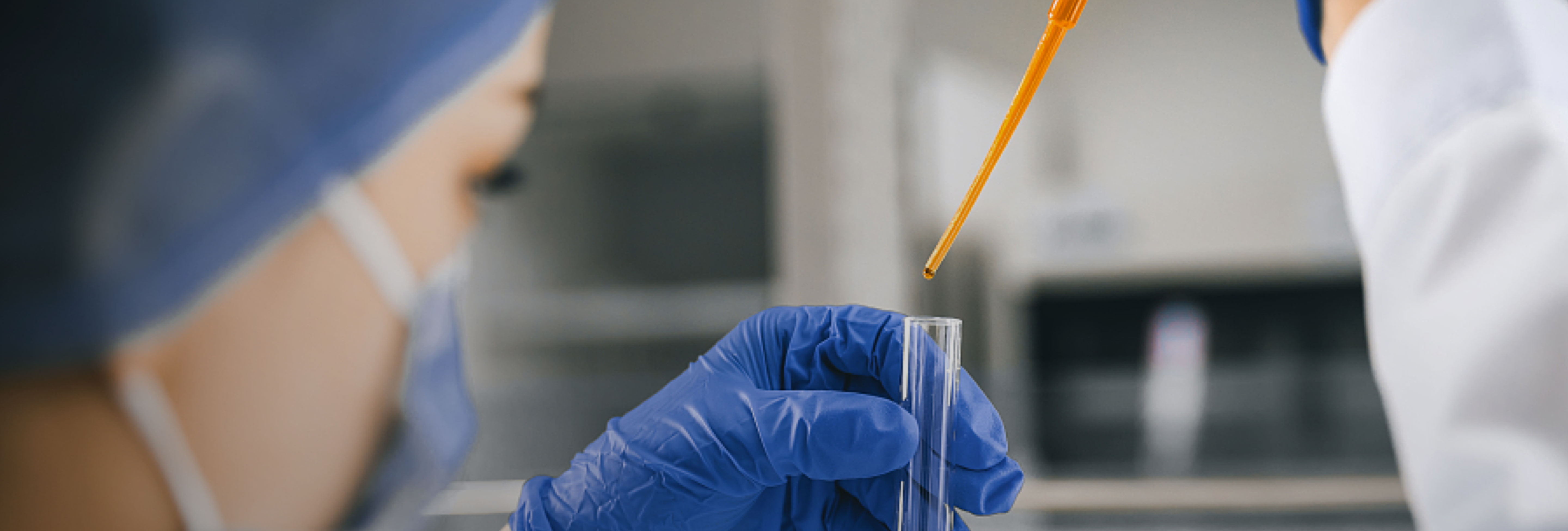 日韩十八禁在线1区2区3区不卡