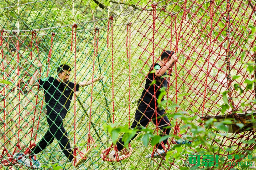 日韩十八禁在线1区2区3区不卡